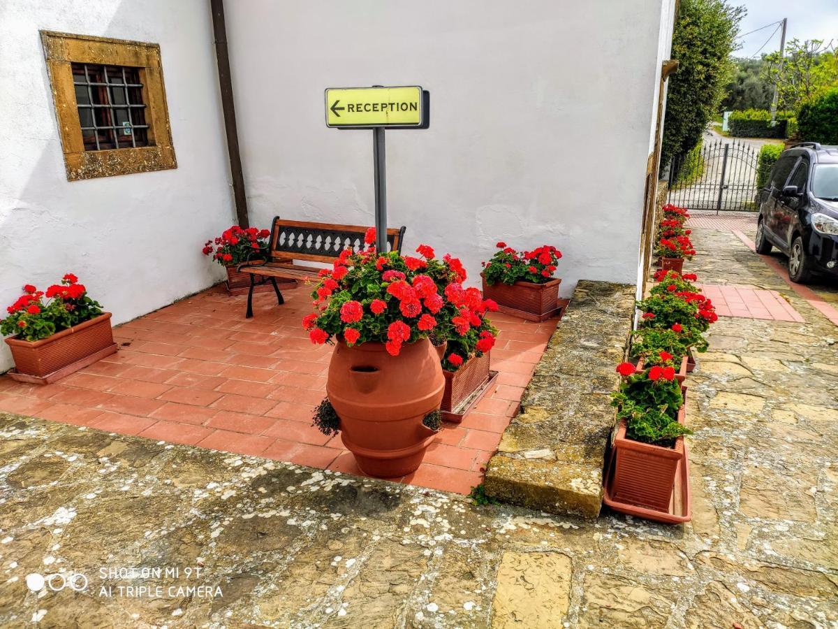 Borgo La Casaccia Lägenhet Montaione Exteriör bild